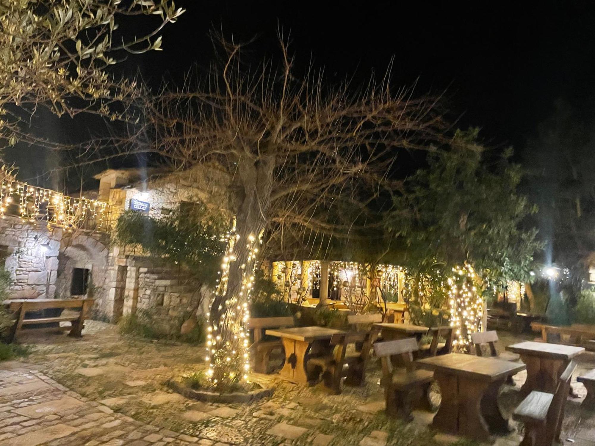 My Adriatic Place With Private Garden And Garage Šibenik Buitenkant foto